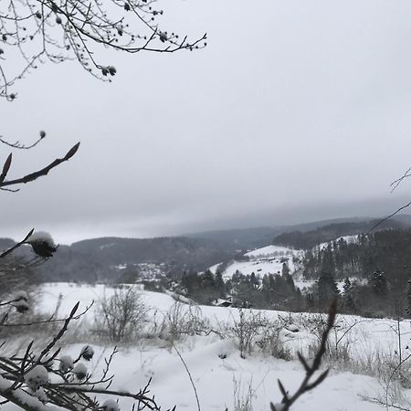 Bergchalet La Roubine Willingen Neerdar エクステリア 写真
