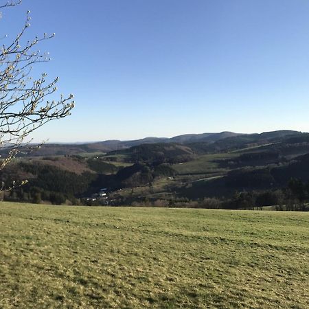 Bergchalet La Roubine Willingen Neerdar エクステリア 写真
