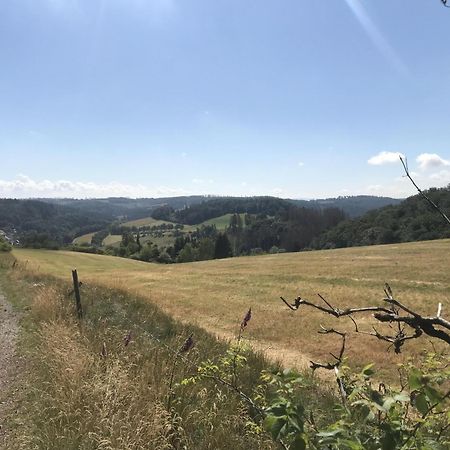 Bergchalet La Roubine Willingen Neerdar エクステリア 写真