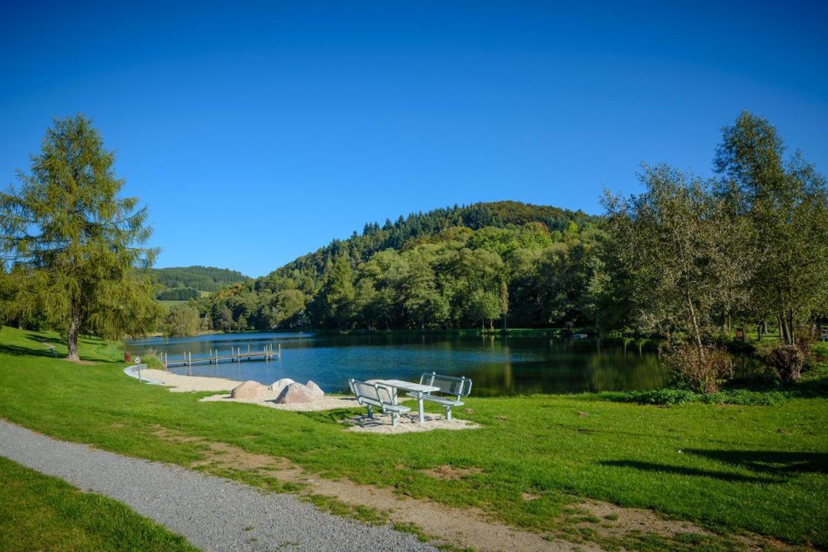 Bergchalet La Roubine Willingen Neerdar エクステリア 写真
