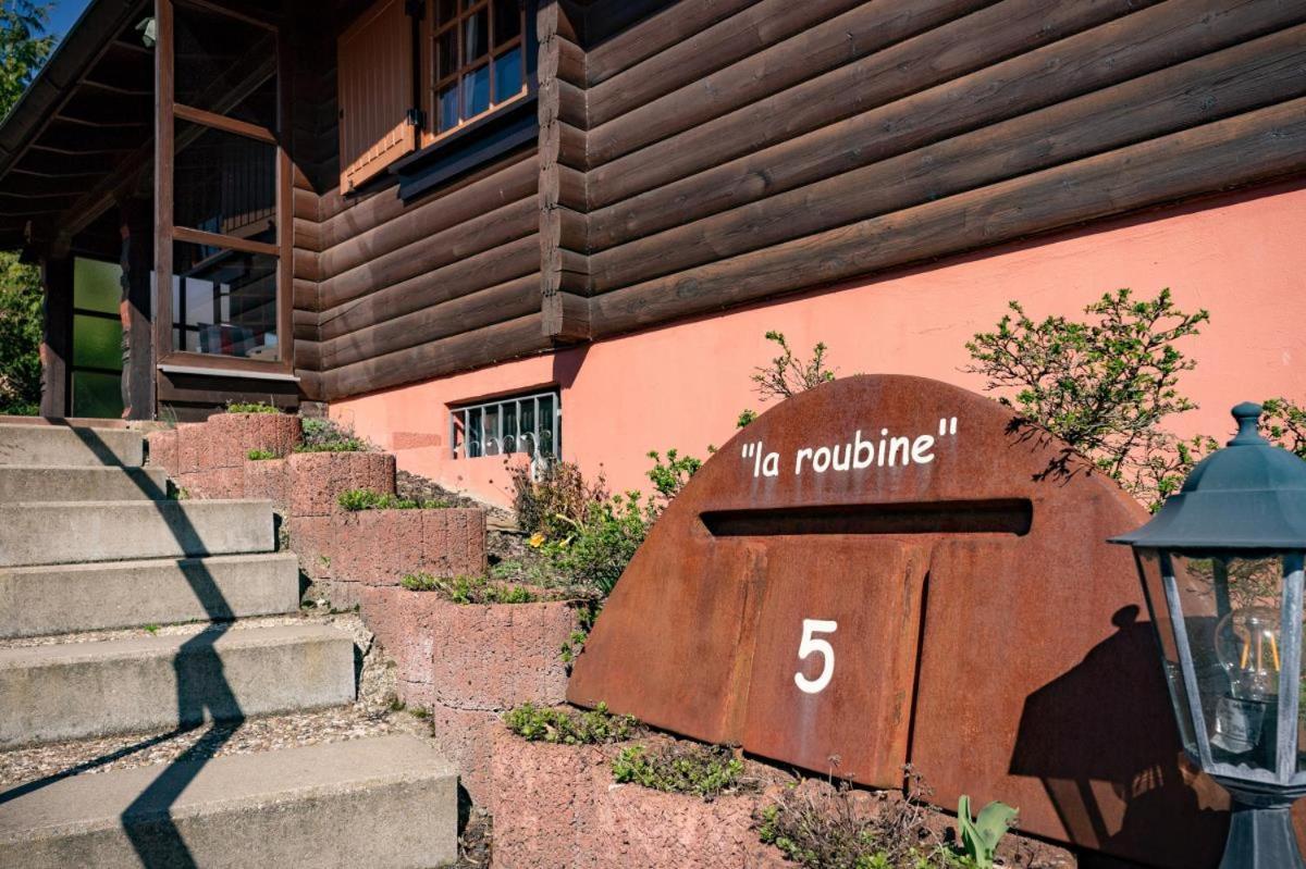 Bergchalet La Roubine Willingen Neerdar エクステリア 写真