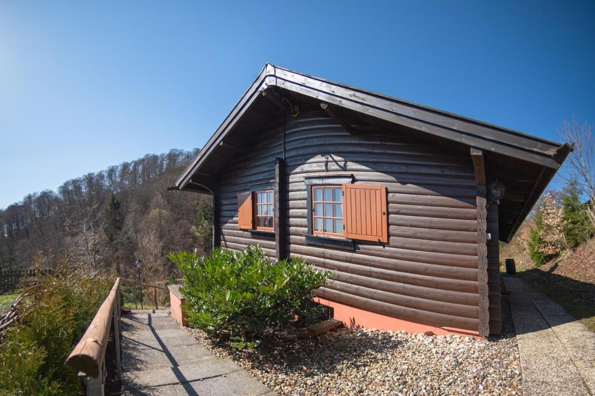 Bergchalet La Roubine Willingen Neerdar エクステリア 写真