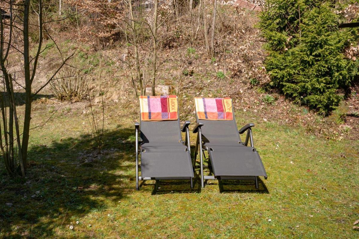 Bergchalet La Roubine Willingen Neerdar エクステリア 写真