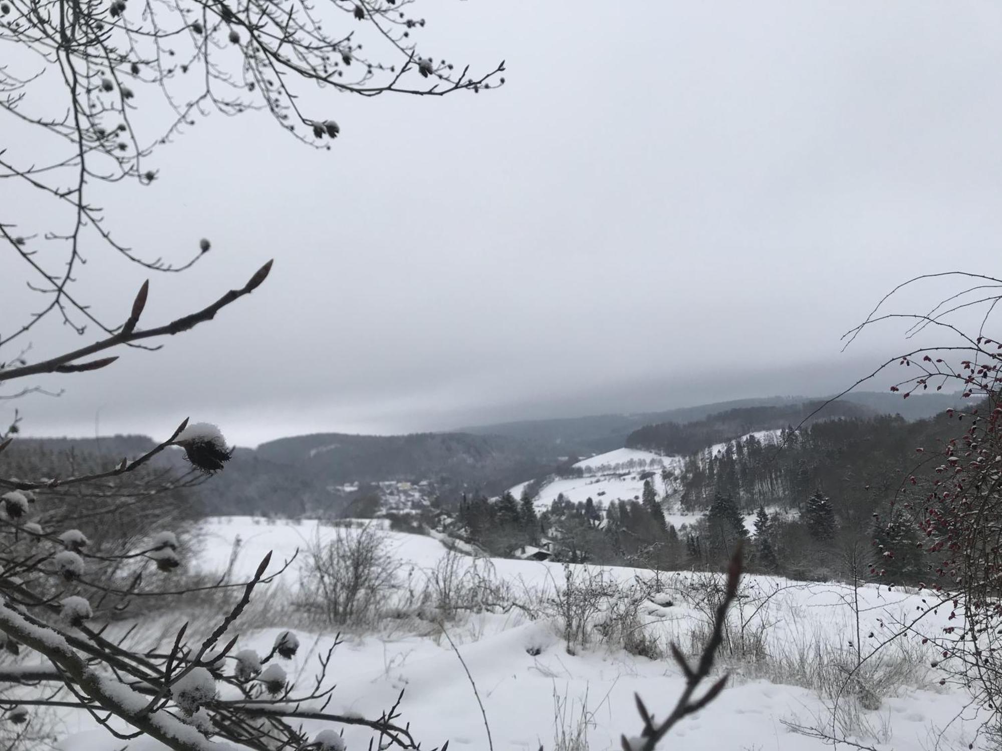 Bergchalet La Roubine Willingen Neerdar エクステリア 写真