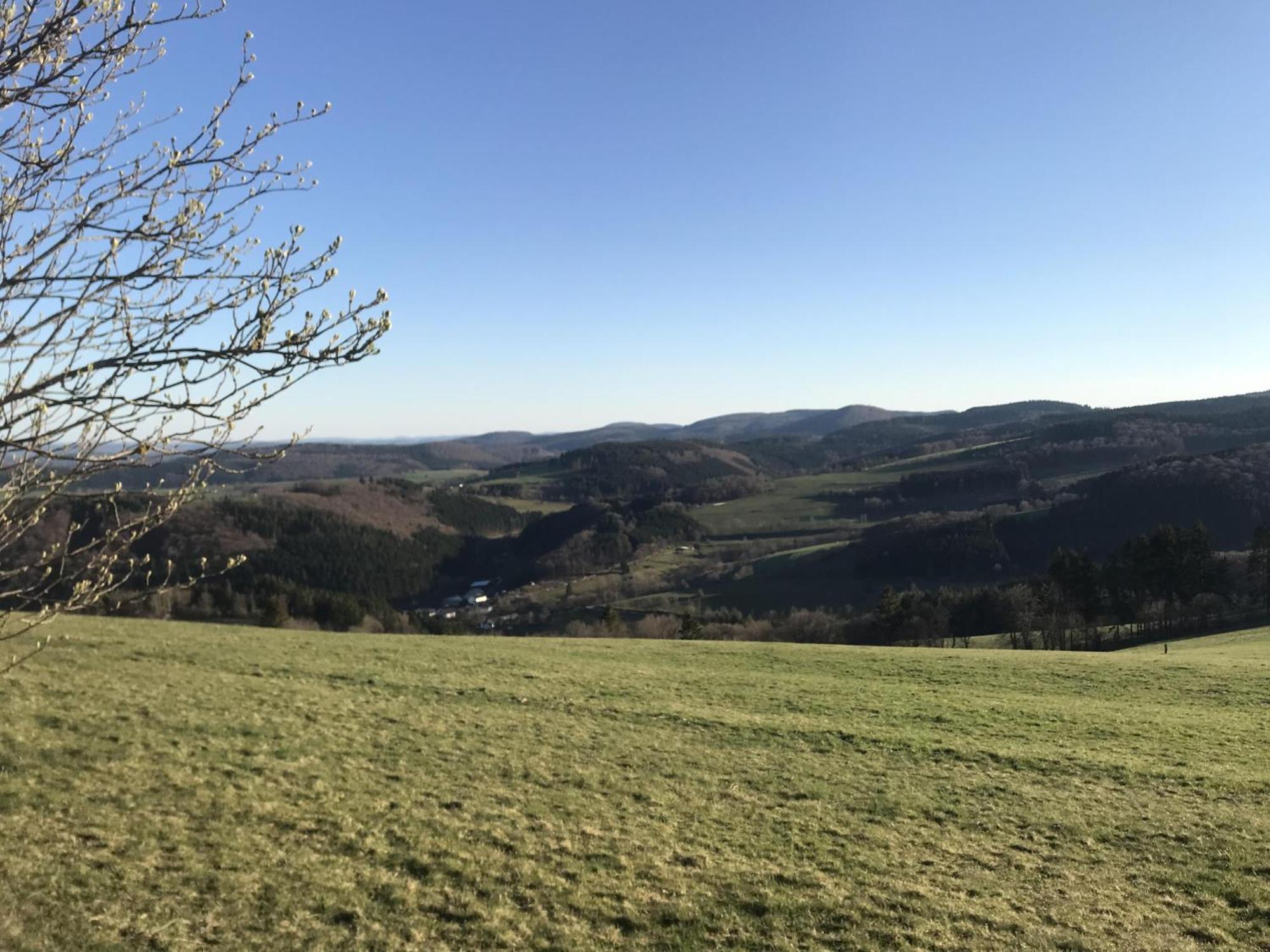 Bergchalet La Roubine Willingen Neerdar エクステリア 写真