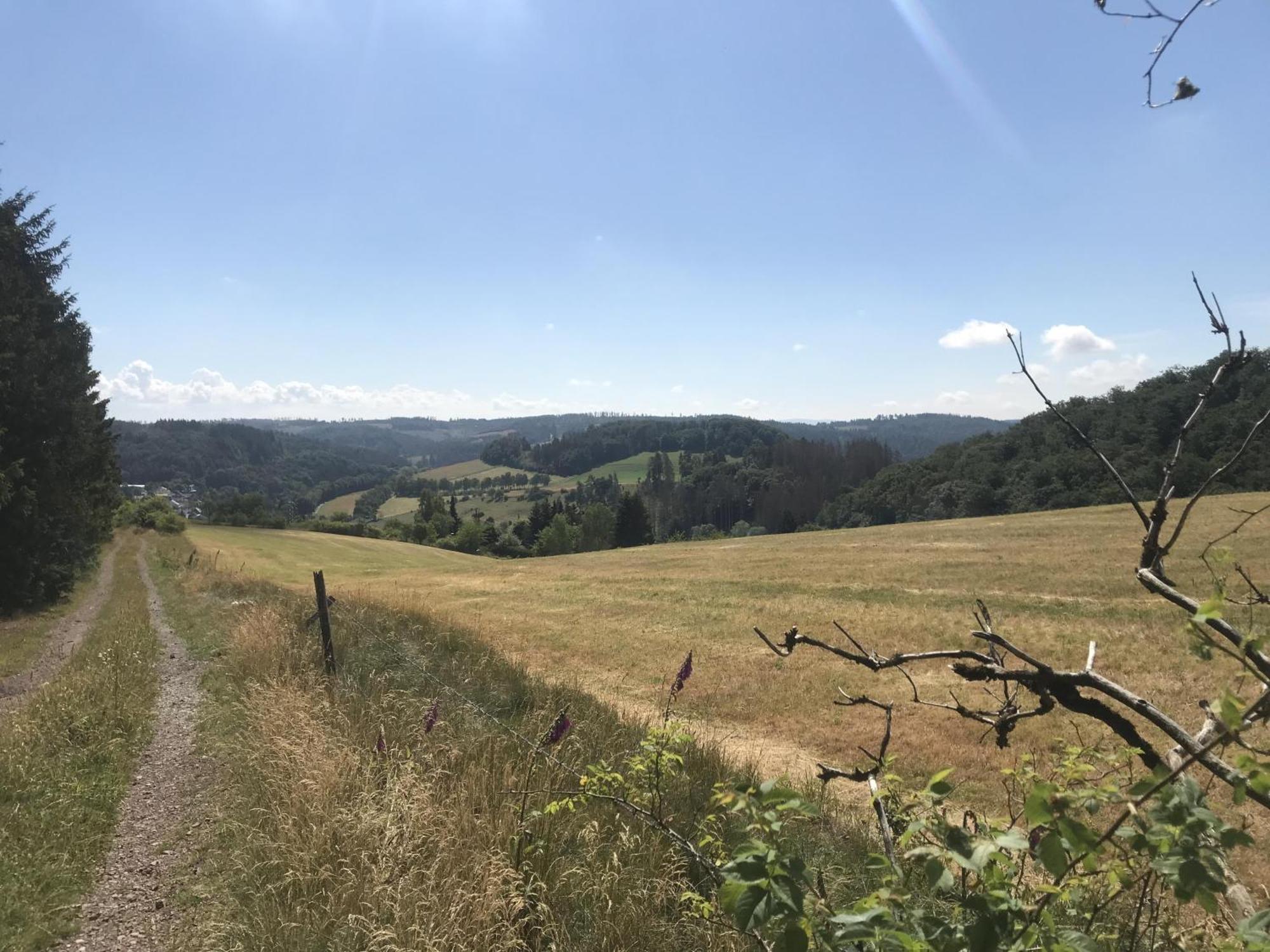 Bergchalet La Roubine Willingen Neerdar エクステリア 写真